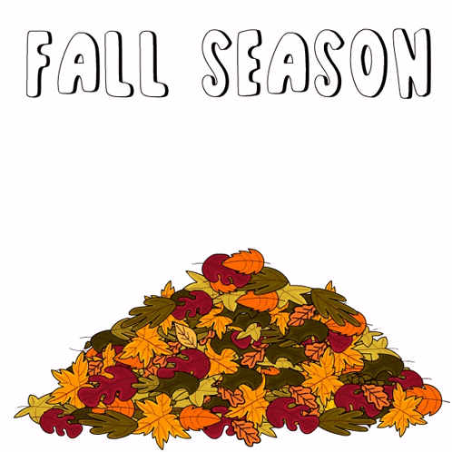 Cutie Penguin Fall Season Sweater Weather GIF