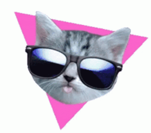 Cyber Cat Winking With Sunglasses GIF