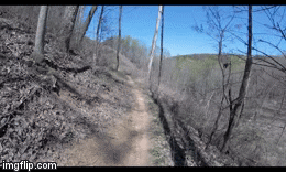 Cycling Through Mountain Trail GIF