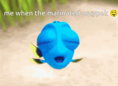 Czohol Finding Dory Gif GIF