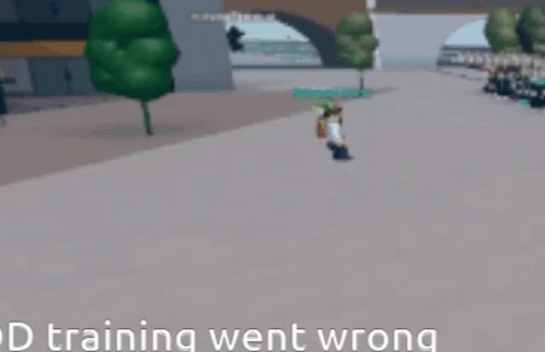 D Training Went Wrong Video Game