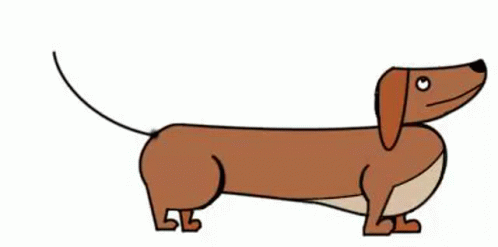 Dachshund Animated Dog GIF