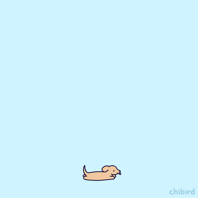 Dachshund Flying Stay Strong GIF