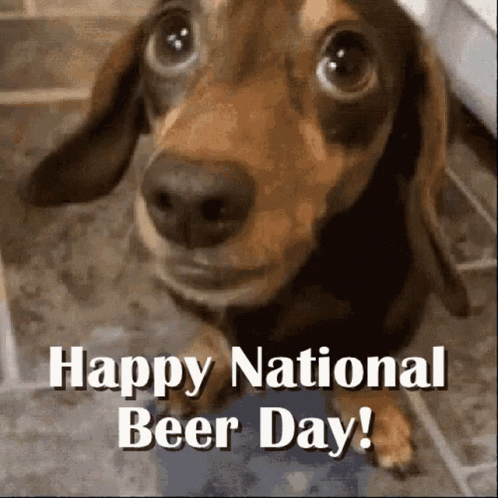 Dachshund Happy National Beer Day GIF