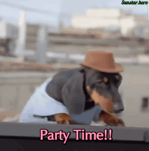 Dachshund in Cowboy Hat and Blue Shirt Says Party Time