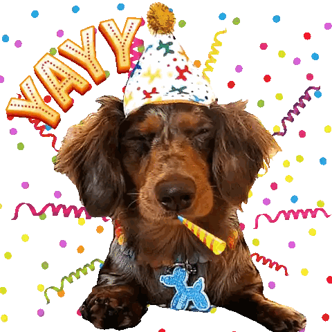 Dachshund in Party Hat Holding Horn Yayy