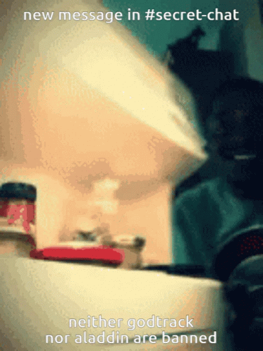 Dachshund Looking Up At Camera GIF