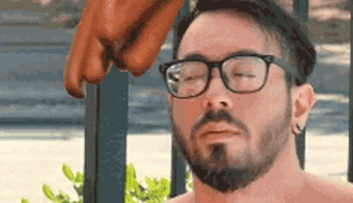 Dachshund Share If You Love Wieners GIF