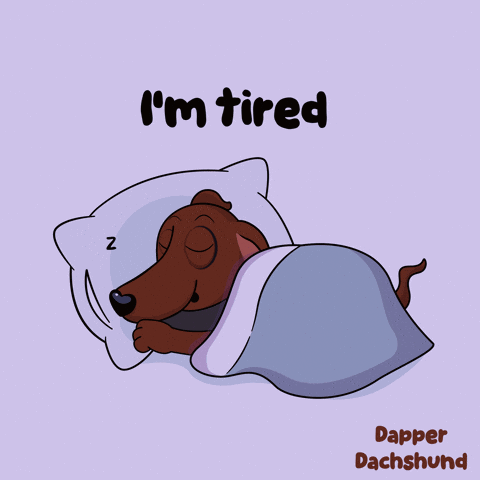 Dachshund Sleeping Saying I'm Tired