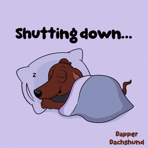 Dachshund Sleeping Under Blanket Shutting Down