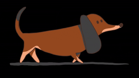 Dachshund Walking Dog GIF