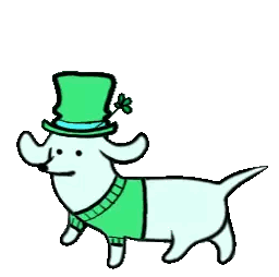 Dachshund Wearing Green Top Hat And Sweater