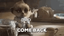 Dad Come Back Meerkat Oleg GIF