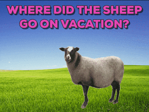 Dad Joke Sheep On Vacation Meme GIF