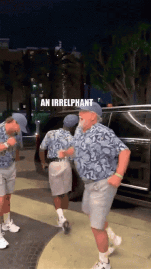 Dad Joke Similar Shirts Happy Dance  GIF