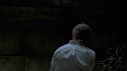 Daddario True Detective Matthew Mcconaugthey Illusions GIF