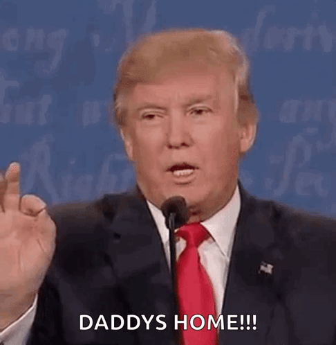 Daddys Home Donald Trump GIF