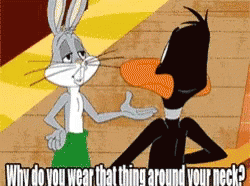 Daffy Duck Cartoon Meme GIF