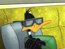 Daffy Duck Deal With It GIF