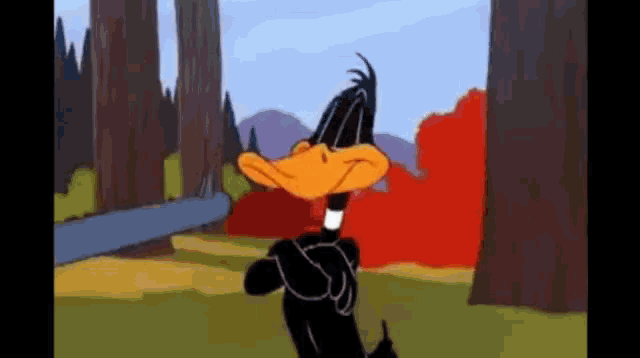 Daffy Duck Spin Bill GIF