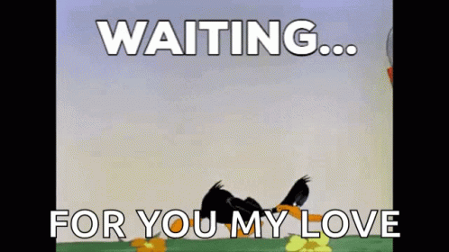 Daffy Duck Waiting Patiently For You My Love GIF