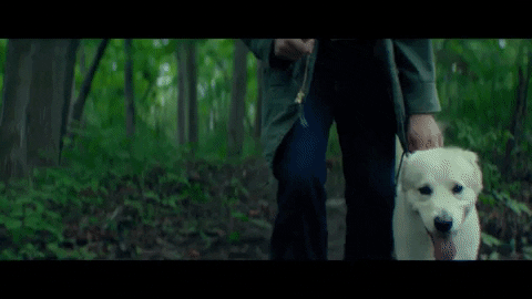 Dahmer Evan Peters Series Scene GIF