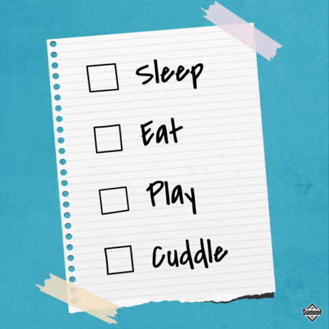 Daily Routine Checklist For Couples GIF