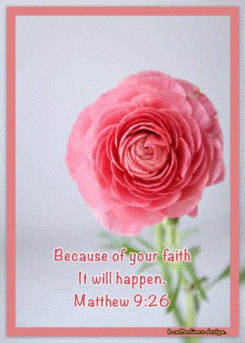 Daily Verse Happy Blessed Wednesday GIF