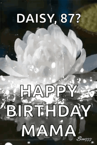 Daisy Flower Happy Birthday Mama