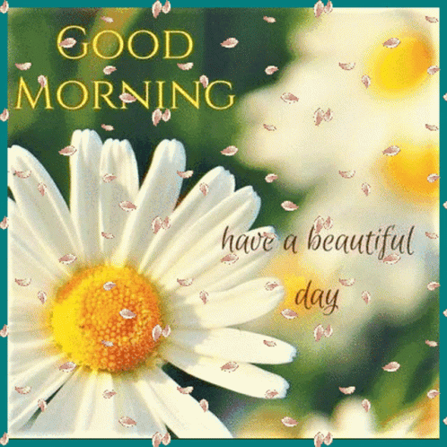 Daisy With Good Morning Have A Beautiful Day GIF