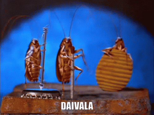 Daivala Kabakum GIF