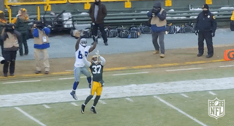 Dallas Cowboys Dez Bryant Amazing Catch GIF
