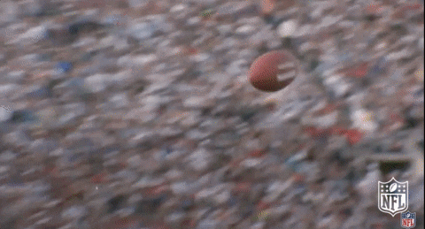 Dallas Cowboys Incredible Catch Nfl GIF