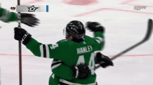 Dallas Stars Joel Hanley GIF