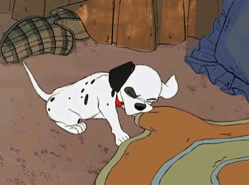 Dalmatian Chewing Carpet GIF