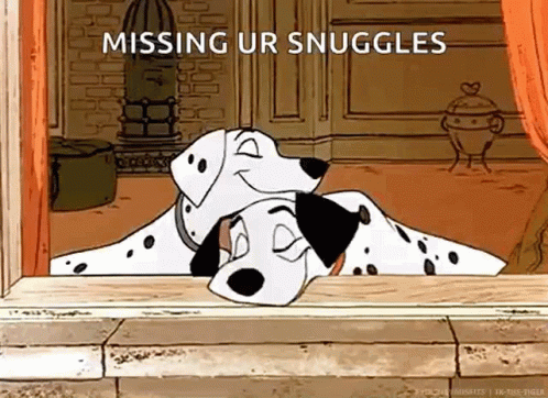 Dalmatian Dog Missing Your Snuggles GIF