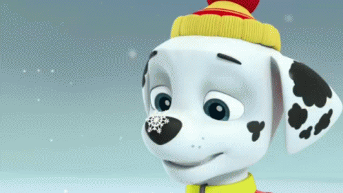 Dalmatian Puppy Playing Snow GIF