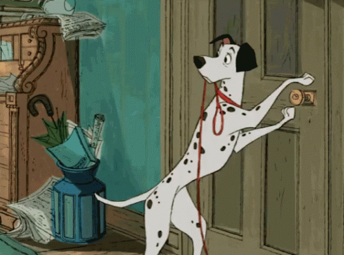 Dalmatian Walking Leash GIF