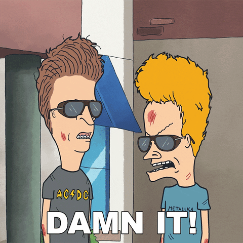 Dammit Beavis And Butthead GIF