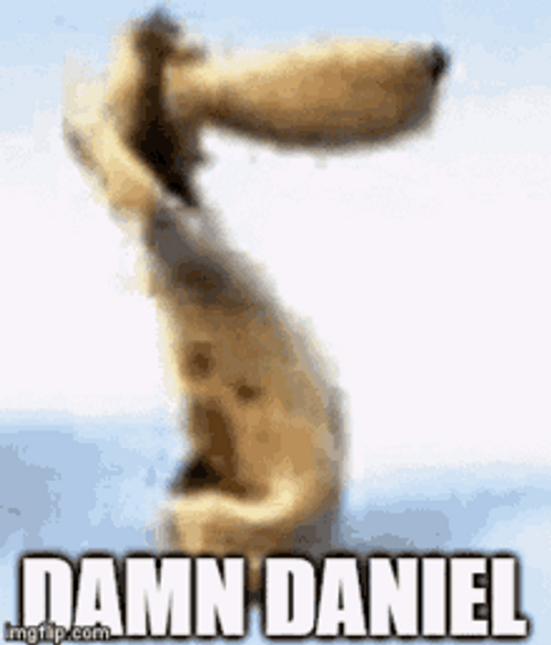 Damn Daniel Dog Dancing GIF