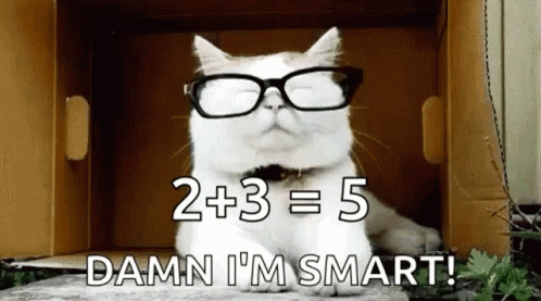 Damn Im Smart White Cat GIF