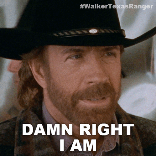 Damn Right Chuck Norris GIF
