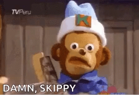 Damn Skippy Meme GIF