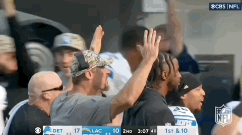 Dan Campbell Touchdown David Montigomery GIF