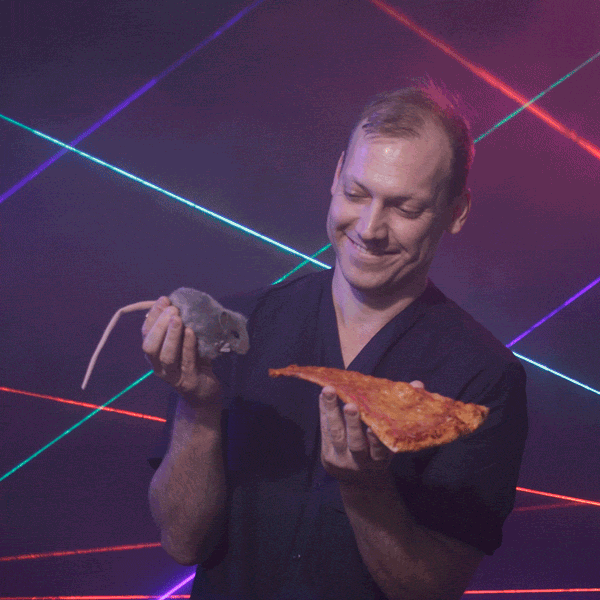 Dan Finkler Feeding Pizza To Rat GIF