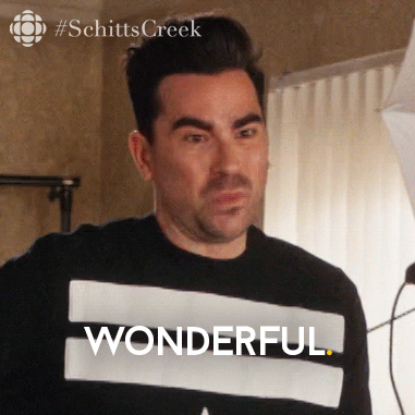 Dan Levy Saying Wonderful While Standing GIF