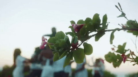 Dance Celebration Mazel Tov GIF