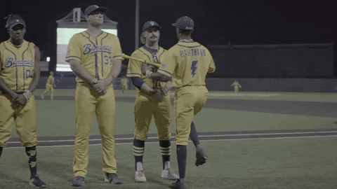 Dance Savannah Bananas GIF