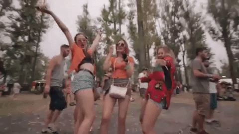 Dancehall Party Girls Having Fun GIF