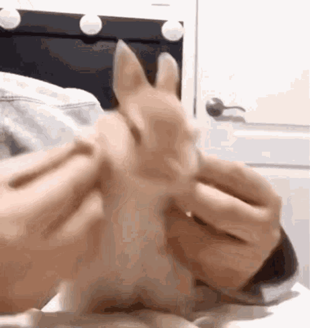 Dancing Baby Bunny GIF